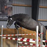 BØGEGÅRDENS ZION 1.jpeg