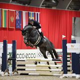 BØGEGÅRDENS ZION.jpeg