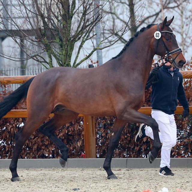 M1