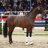 M2.jpg