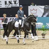 2L3A1341.jpg