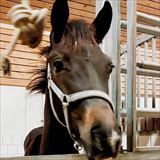 20251111_231349 Højager Onesco 6 mdr..jpg