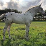 billed taget af Katrine.jpg