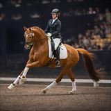 Daan G.jpg