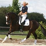 BLUE HORS DIAMOND DANCER 3.jpg