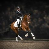 DC-10 galop.jpg