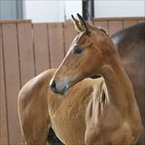 0C5A9028 HP Vin Chaud.jpg