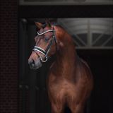 167669_abo_01_D05_5911 redigeret.jpg