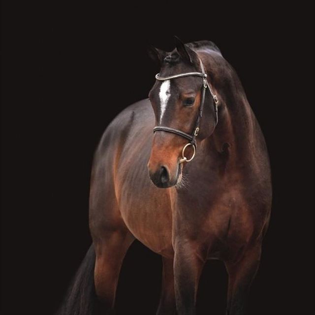 CHEZARRO